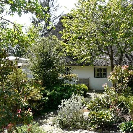 Tom Diek Lägenhet Jork