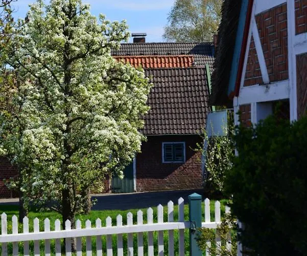 Διαμέρισμα Tom Diek