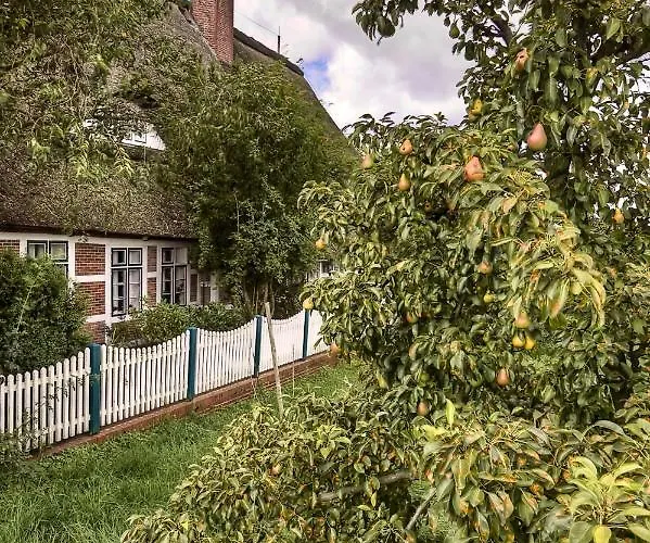 Tom Diek Διαμέρισμα